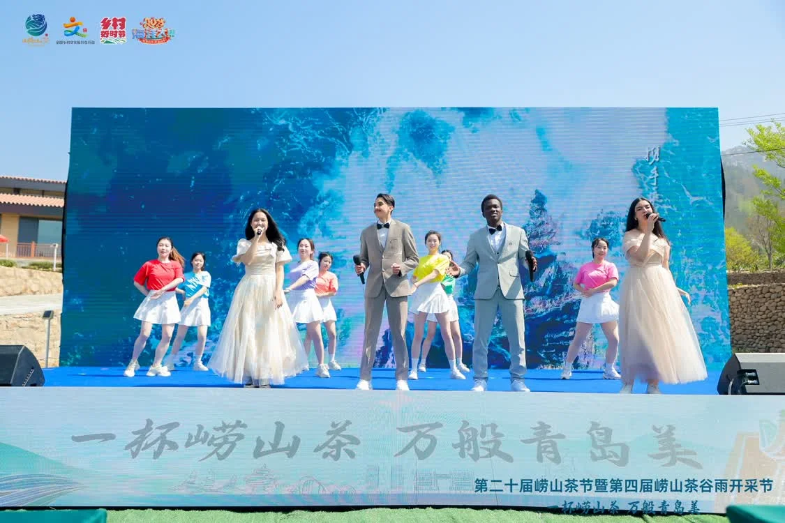 品崂山茶赏崂山美！第二十届崂山茶节暨第四届崂山茶谷雨开采节活动正式启动
