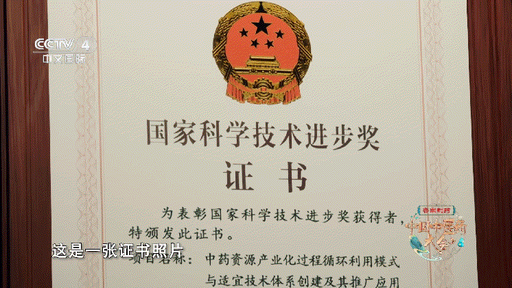 走进江苏｜探寻中医药宝藏，解锁苏医独特魅力！