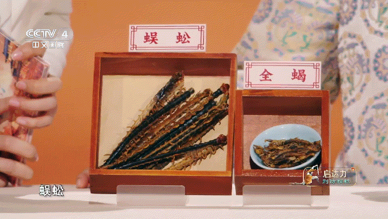 走进江苏｜探寻中医药宝藏，解锁苏医独特魅力！