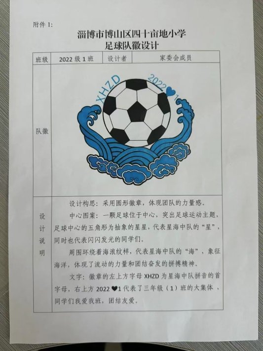 淄博市博山区四十亩地小学开展班级足球队徽设计活动