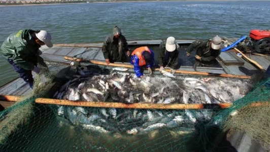 /home/huawei/Desktop/微信图片_20250429172835.jpg微信图片_20250429172835