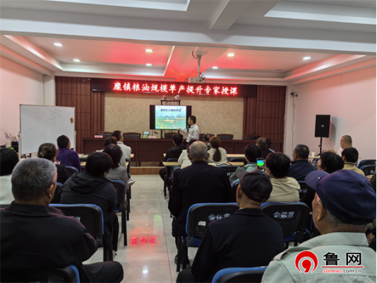 德州市陵城区糜镇：农技培训赋能乡村振兴