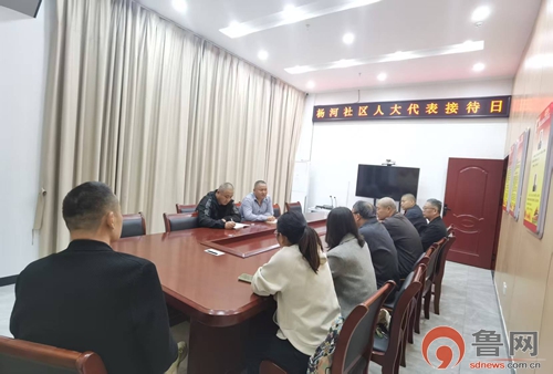 枣庄市市中区垎塔埠街道：人大代表带头干  共建美丽“新家园”