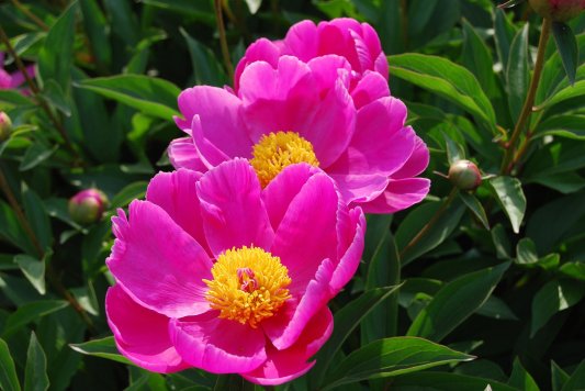 微信图片_20250430170429