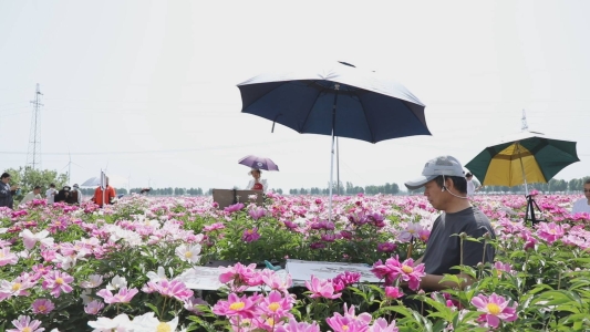 微信图片_20250430170411