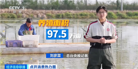 夏季“顶流美食”大量上市 已帮你提前问好价！