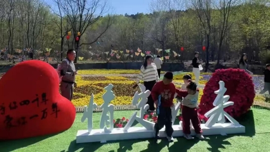2.情定浮来