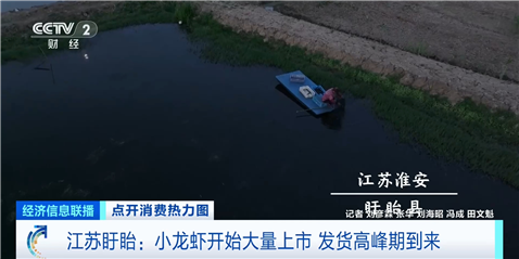 夏季“顶流美食”大量上市 已帮你提前问好价！
