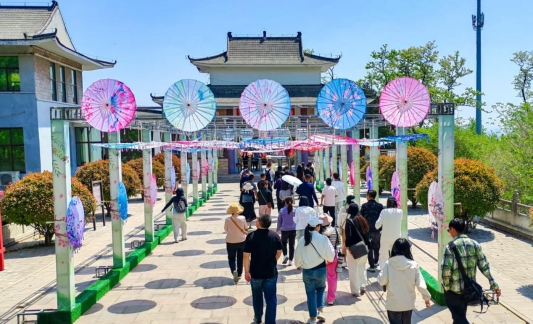 5.伞海