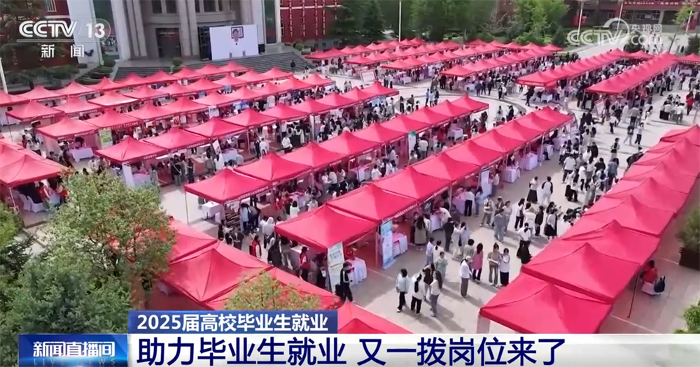 @高校毕业生，“稳就业+促就业”新岗位、新机遇、新支持来了！