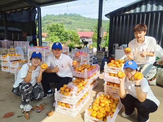 开展直播助农活动记录