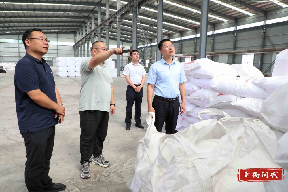 济南市钢城区：王玮调研督导企业安全生产工作