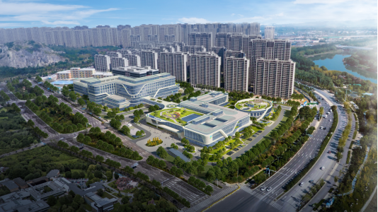 1.项目效果图