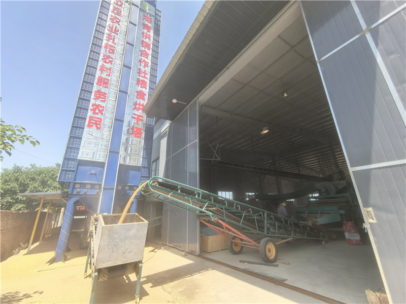让“丰收在望”变“丰收在手” 青岛市供销社护航“三夏”生产