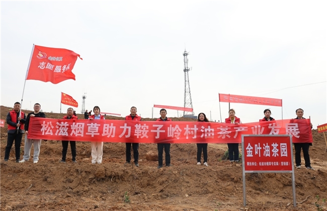 湖北松滋：筑淳厚家风，绽时代芳华--记湖北省荆州市松滋烟草易晓兰家庭家风故事