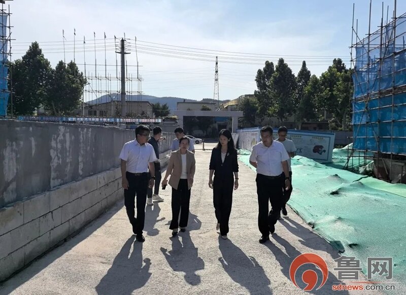 枣庄市侨联实地调研服务全生命周期帮包项目