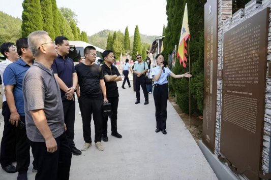 177d035cbfd53dc7fc723c77d429fcd