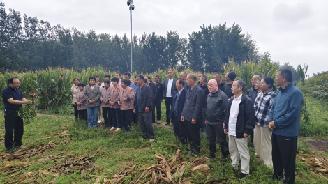 微信图片_20250923105502