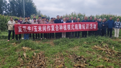 微信图片_20250924225228_83_26