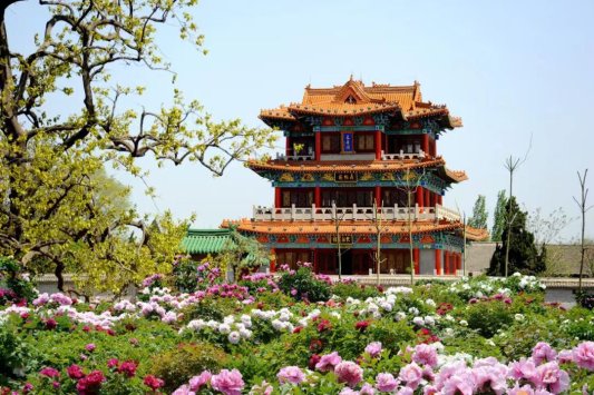 0edb63363e8a8c39dbaa6597102544b