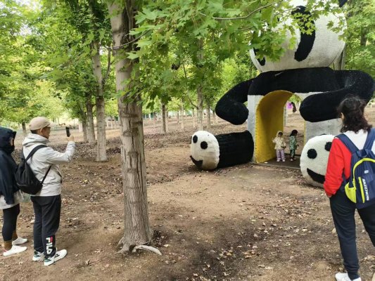 8e6843cc098696bee08cec4b7f162441