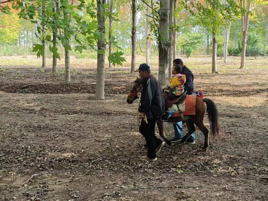 b3a905e04fc3755bc956e76cb344d1ca