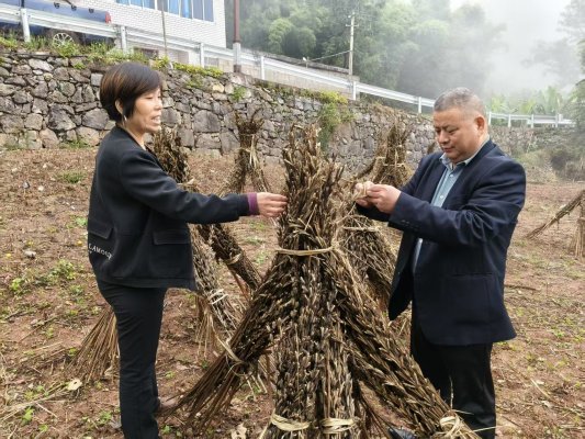 77cbf388e09a055a8f330d604b1634a0