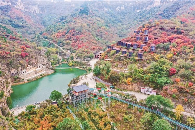 西桐古：一站邂逅香菇红叶烟火集