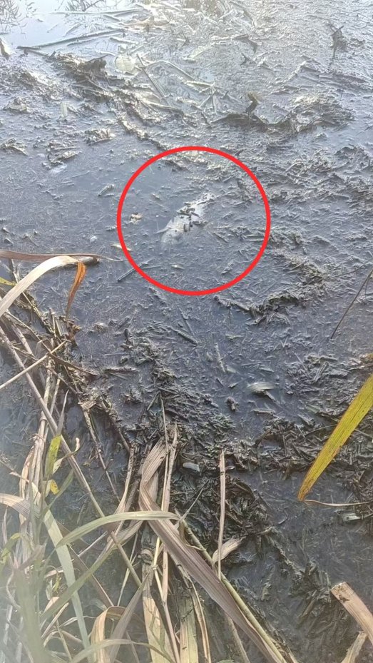 785a345345c64fdd469414b7f1bb9723