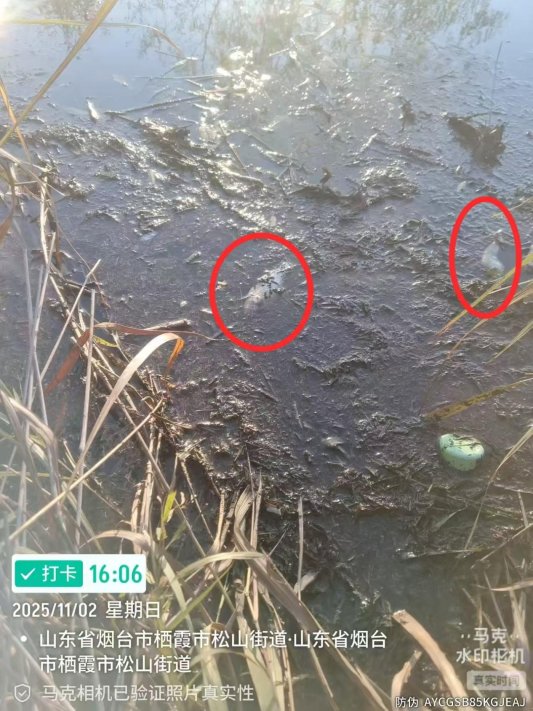 61dc1a3842750bfc109c754b884a86ed