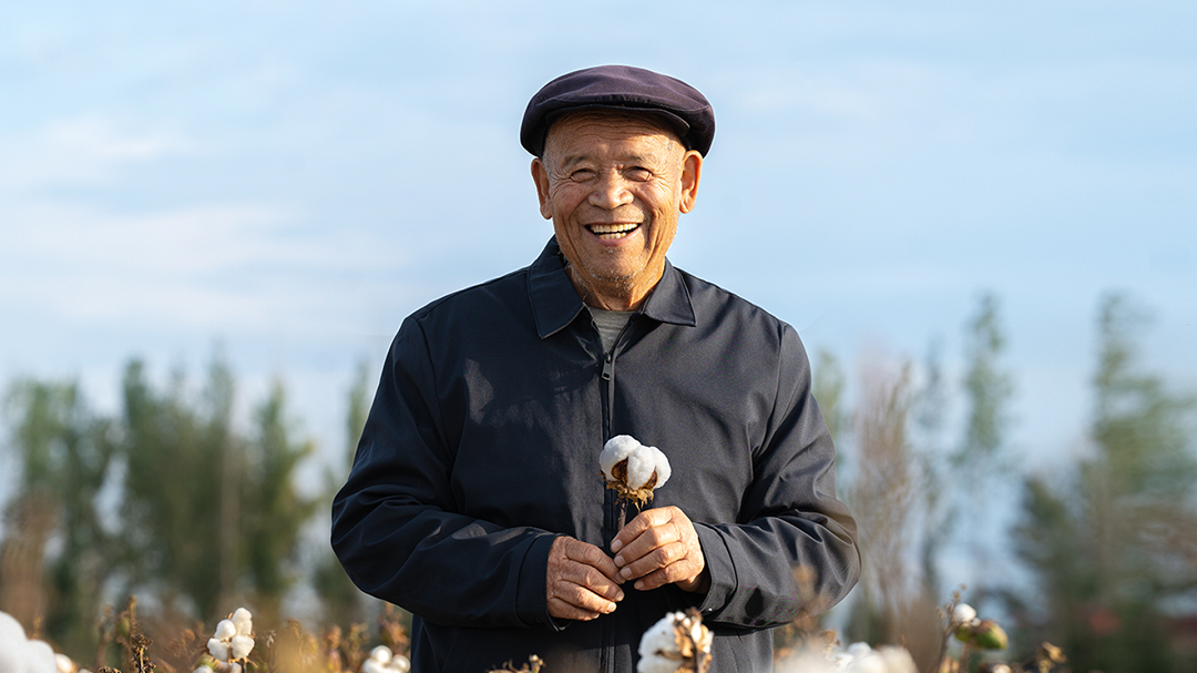 一朵棉花如何改变荒漠，也支撑起全球数亿人的生活？