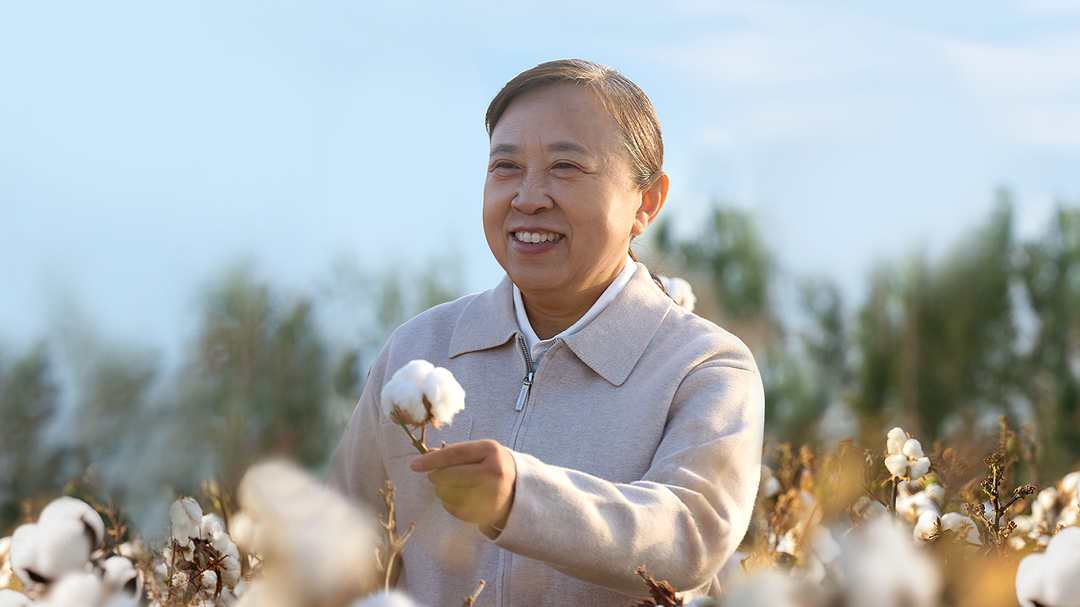 一朵棉花如何改变荒漠，也支撑起全球数亿人的生活？