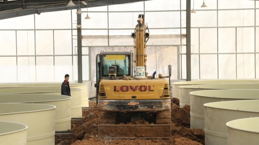 ec0f0211104863470c201f9e3219621