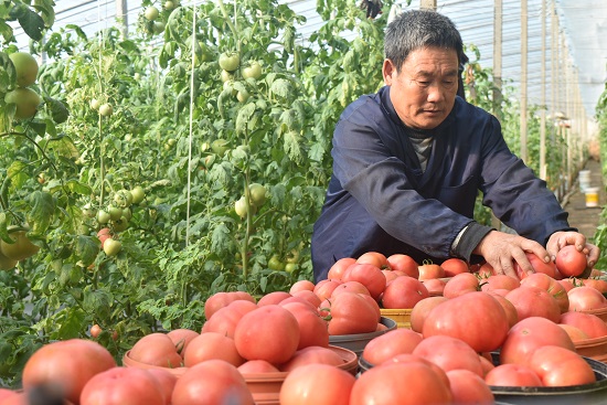 ۰������򣺴���������ϲ����