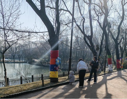 a7d371e72f5c161f7e1a48353f68239c