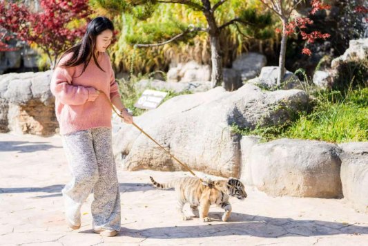 c24e5e308727badb397cff85e3726afa