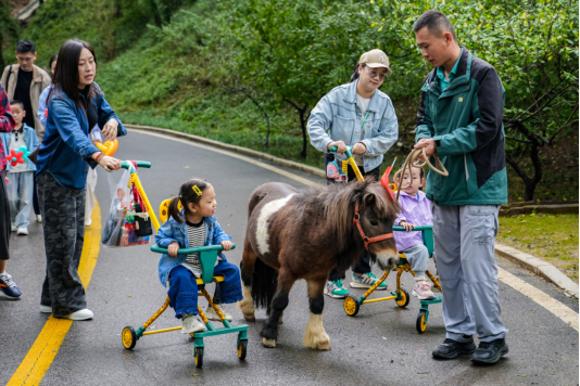 7aa4e78ab702644c867c268814208ece