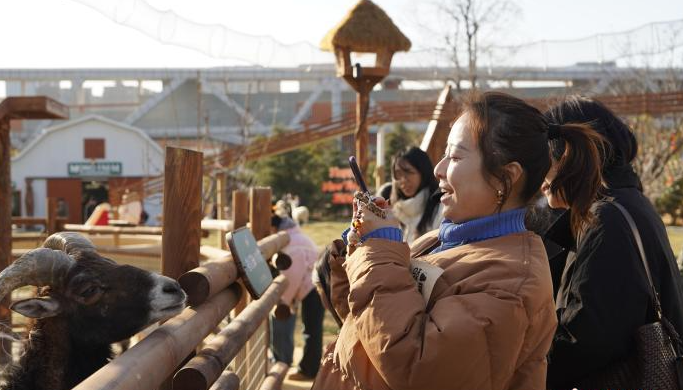 “萌宠+购物” 郑州再现体验式消费新场景