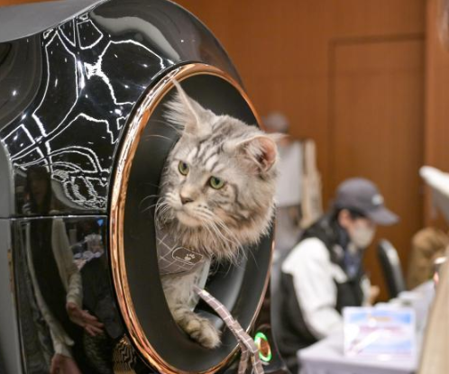 香港将举办“香港宠物节2026”等三项展览