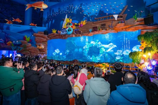 DSC07083-2-已增强-降噪