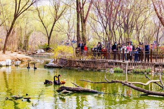 37439becdb0c26db06e15d22833ba6e2