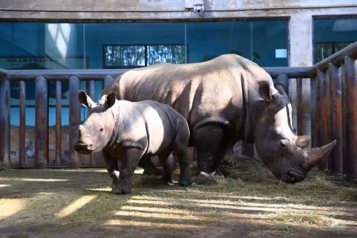 b35310cdef076bbe0382603a99899d96