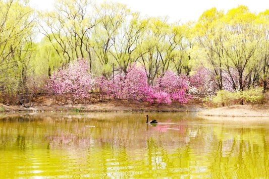 6d351411c30e405a0a7ca15490e23c34