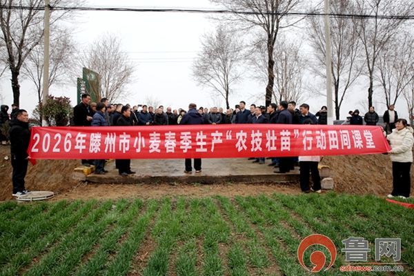 滕州市级索镇：智赋春管绘新景 粮田沃野启新程