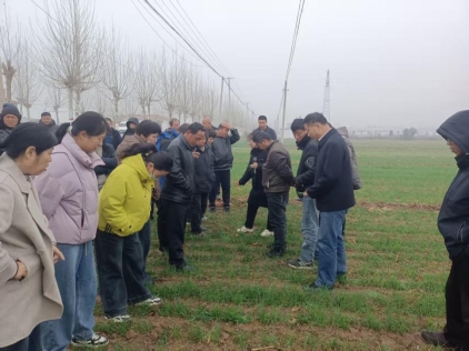 8434c6b453287d6d9a384a0517db4005