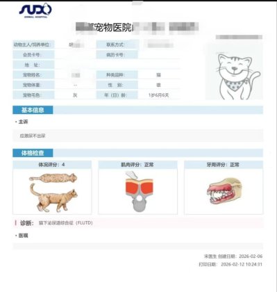 【泰山315】国泰产险宠物险再陷理赔纠纷：等待期内生病，保障期再发病应不应该赔付？