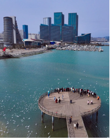 截图-2026年3月10日 9时47分39秒