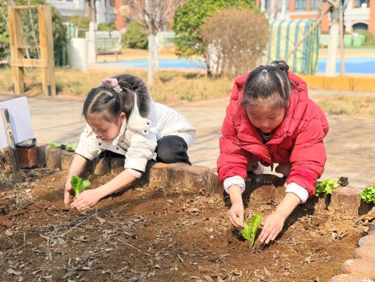 2aefa0af10e8552f2221cc98cb4f2f13