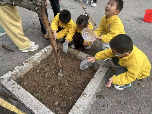 15039af040abaae87caf616ab106c378