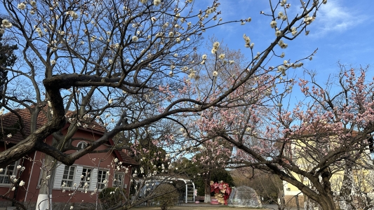 青岛市南：“春日经济”释放新活力